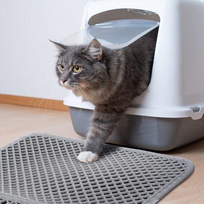 PootPerfect™ Clean Comfort Mat